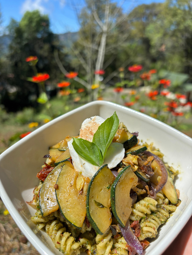 Herb Pesto Pasta
