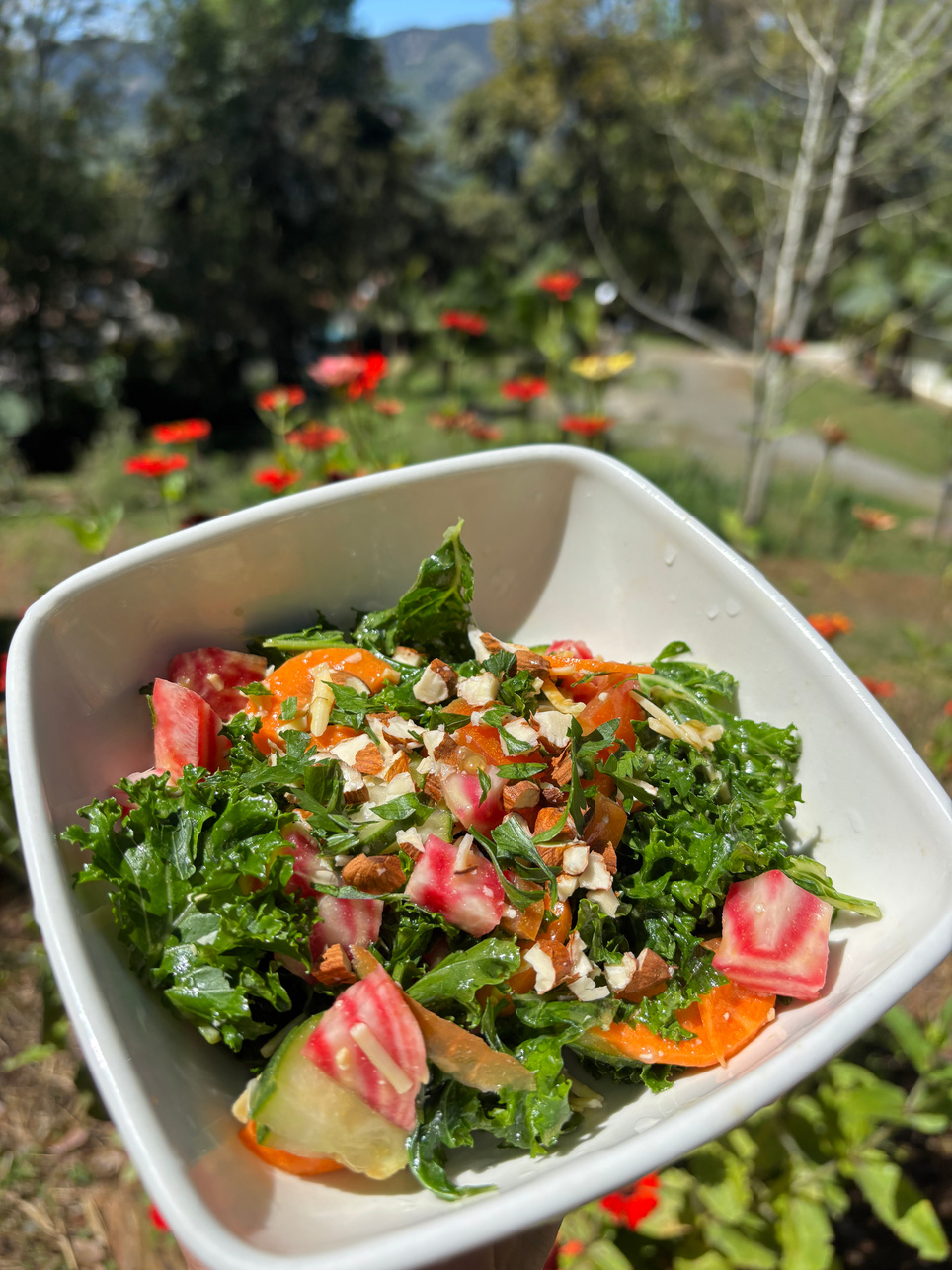 Kale & Beet Salad