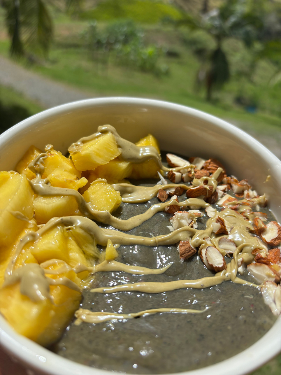 Kale Smoothie Bowl